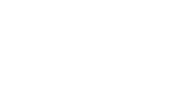 Logo Niko3 bianco